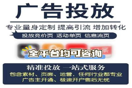 百度竞价推广与SEO结合的策略——以某科技公司为例